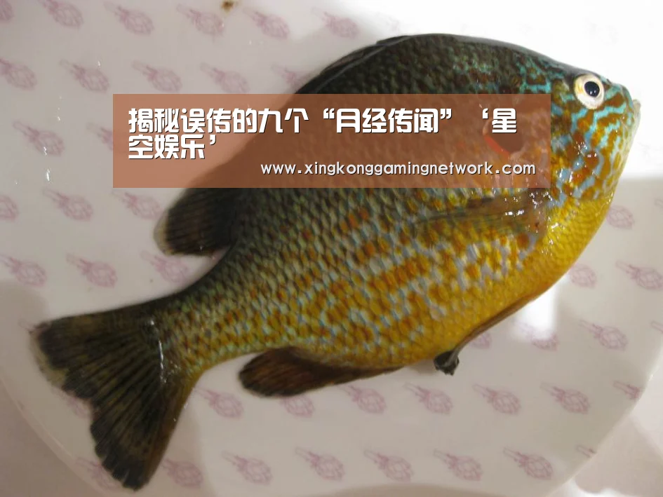 揭秘误传的九个“月经传闻”‘星空娱乐’(图4) 星空登录
