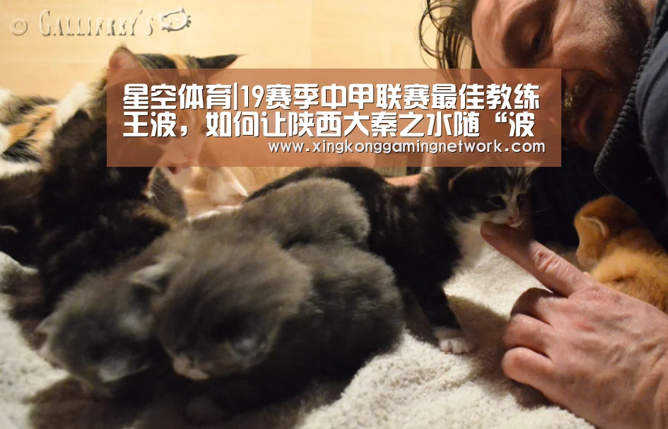 星空体育|19赛季中甲联赛最佳教练王波,如何让陕西大秦之水随“波”逐流?(图3) 星空娱乐